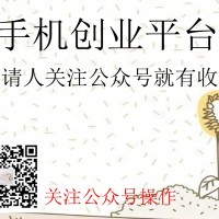 社交软件赚钱方法方案-放心的社交软件赚钱方法上哪找