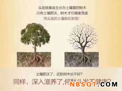 白发怎么转黑_物超所值的慧丝莱头营养液护养套装推荐图1
