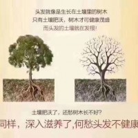 白发怎么转黑_物超所值的慧丝莱头营养液护养套装推荐