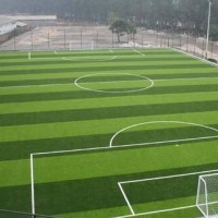 足球场人造草坪多少钱-供应品种好的足球场人造草坪