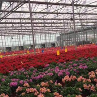 花卉温室价格|耐用的花卉温室推荐
