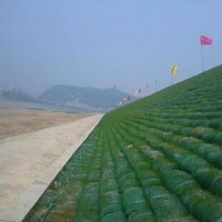 植生袋专业供货商-沈阳地区划算的植生袋