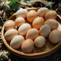 上海土鸡蛋|品质好的土鸡蛋批售