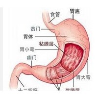 邯郸武安胃癌治疗-哪里有资深的武安胃癌治疗