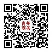 潍坊可靠的青州商务网公司推荐|青州旅游网