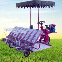 全自动插秧机价格-潍坊可信赖的乘坐式插秧机经销商