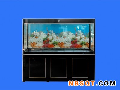 生态鱼缸材科-为您推荐靠谱的生态鱼缸加工服务图1