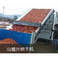 山楂烘干机哪家好  河南百信直发大型连续式网带山楂干燥机