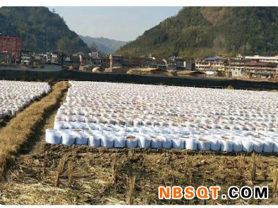 大量供应育苗袋_专业供应育苗袋图1