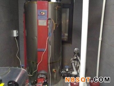 沈阳品牌好的燃气锅炉价格 铁岭燃气锅炉图1