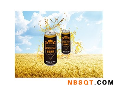 吉林黑啤啤酒_潍坊口碑好的黑啤啤酒供货厂家图1