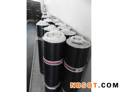防水材料研发_知名的塑性体改性沥青防水卷材公司图1