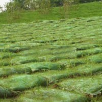 铁岭植生袋价格-哪里买高性价比的植生袋