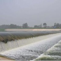 提供橡胶水坝坝袋|衡水口碑好的橡胶水坝坝袋推荐