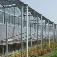 玻璃温室大棚认准国聚温室材料-玻璃温室