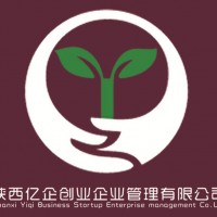 西安碑林区代理记账公司哪家放心|代理记账当选陕西亿企创业企业管理