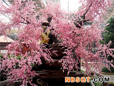 水泥树价格_选购宝鸡水泥假树就找龙岩假树制作图1