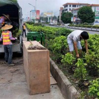 小湘道路园林工程-肇庆口碑好的道路园林工程公司是哪家