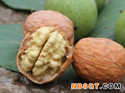 沧州涞源县特色美食_保定实惠的涞源县薄皮核桃价格图1