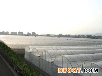 大吉大利！连栋薄膜温室_连栋温室设计/@浩源~等你来电！图1