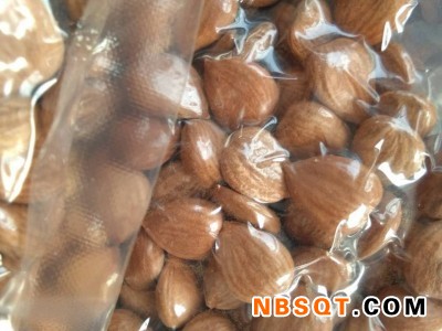 【爱你没商量】杏仁哪里有，杏仁批发商，杏仁供货商图1