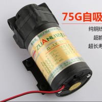 钻力75G纯水机自吸抽水无水压农村水泵净水器水泵 零压自吸泵