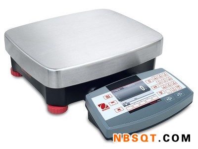 奥豪斯Ranger 7000 高精度电子秤图1