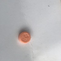 供应硝甲西泮.飞仔.红5
