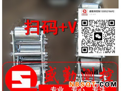 皮带秤链码不锈钢链码LM30KGLM50KG图2