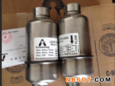 阿姆斯壮Armstrong排液阀 进口881BVSW排液阀图2