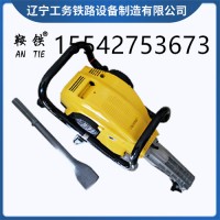 泰州鞍铁眼镜蛇捣固镐TT高铁机具